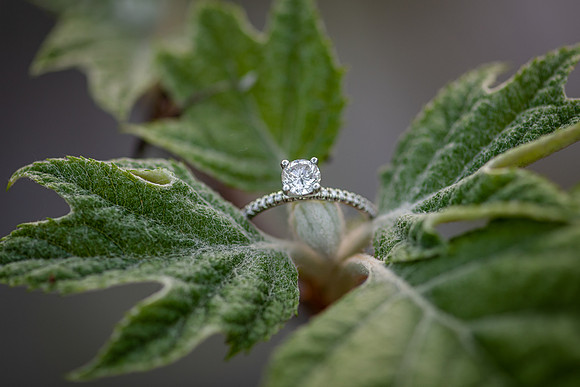 Jacob+Meagan-298