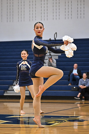 A81_9496