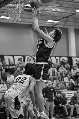 KBBvCarroll11725-274